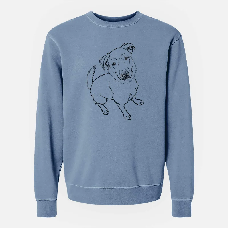 fashionable gym hoodieDoodled Ike the Lab Mix - Unisex Pigment Dyed Crew Sweatshirt